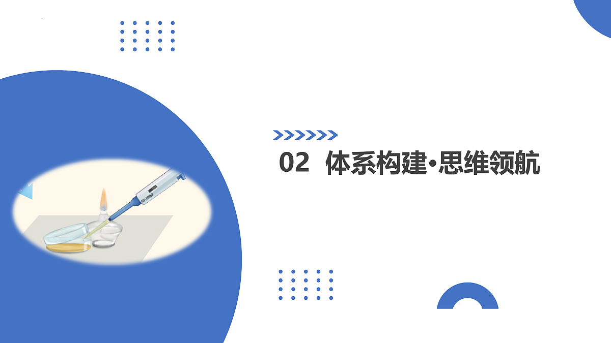 17402870第6页