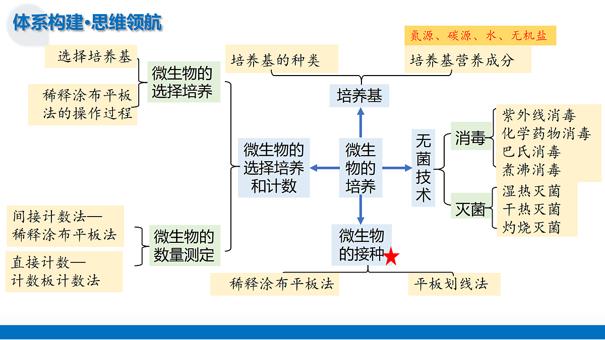 17402870第7页