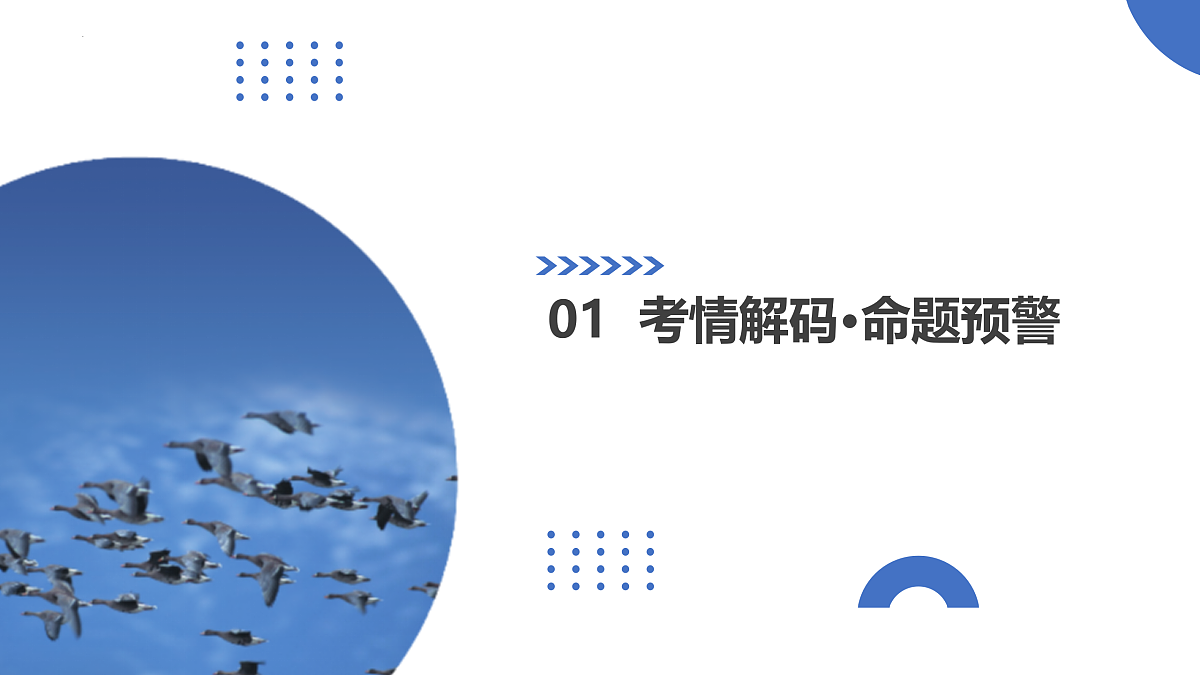17402875第3页
