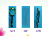 2025年教科版六年级科学上册 １.１放大镜（课件+探索记录表+微课）