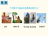 2025年教科版六年级科学上册 7. 信息的交流传播（课件+记录单+微课）
