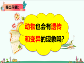大象版六年级科学上册 4.2《动物的遗传和变异》课件+教案