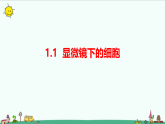 2025年大象版六年级科学上册 1.1《显微镜下的细胞》课件+素材