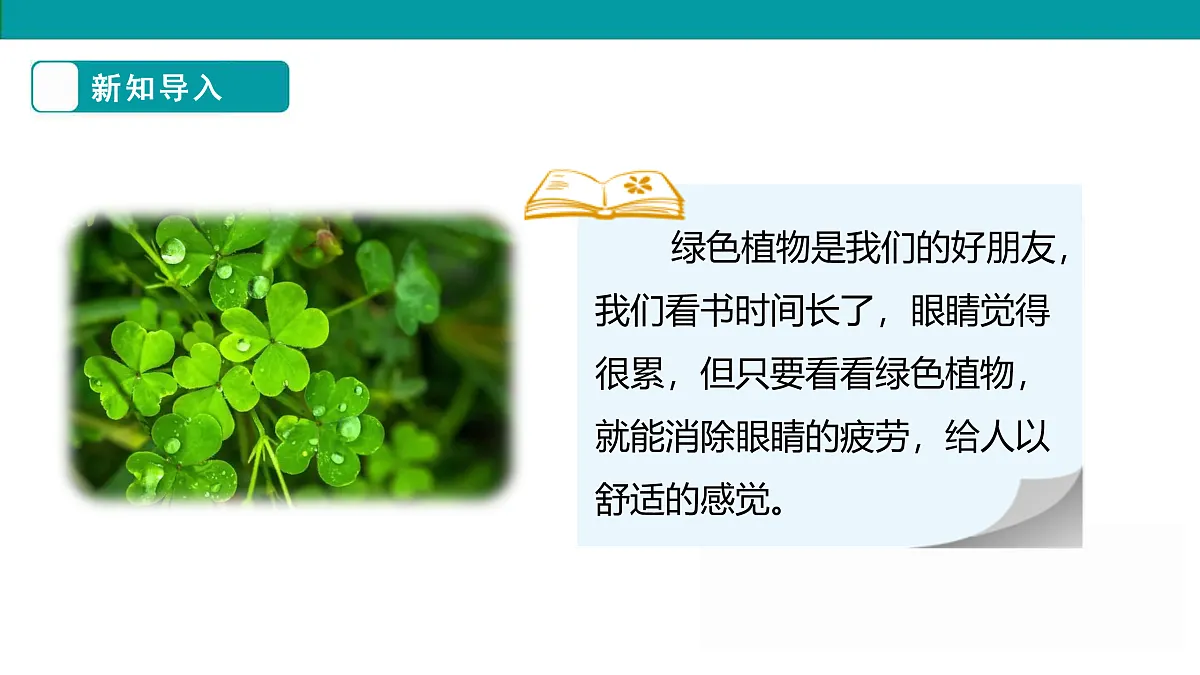 《参观花圃》课件第7页