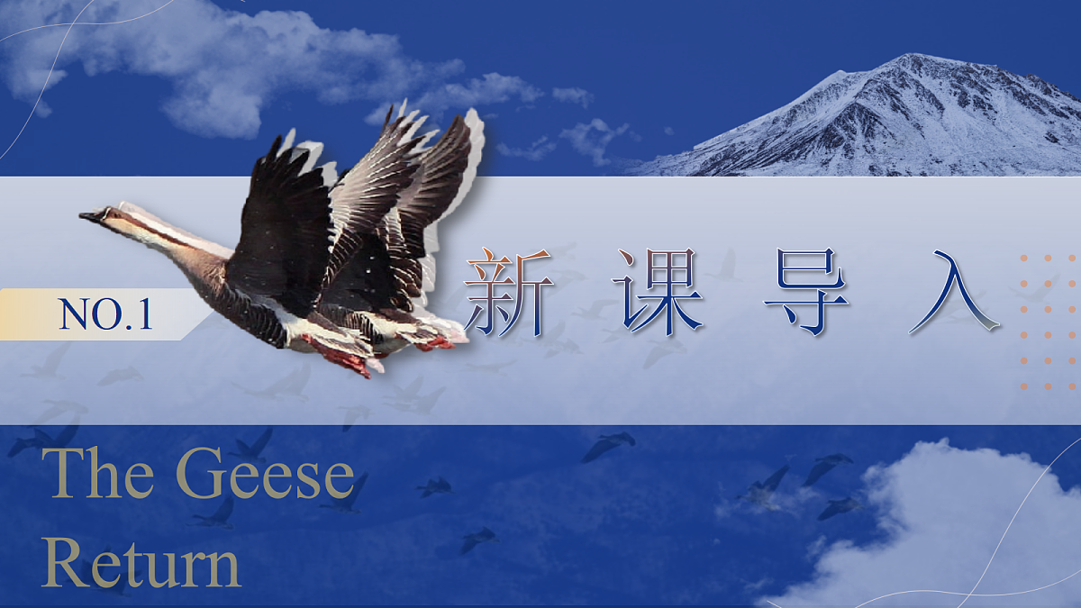 17403215第4页