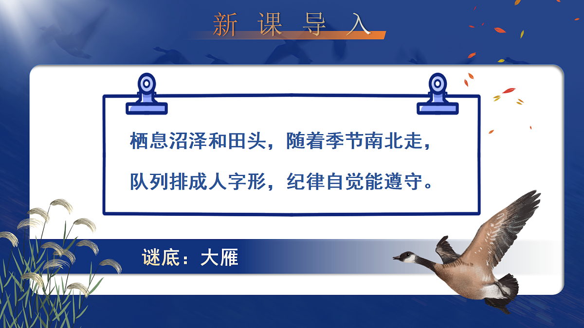17403215第5页