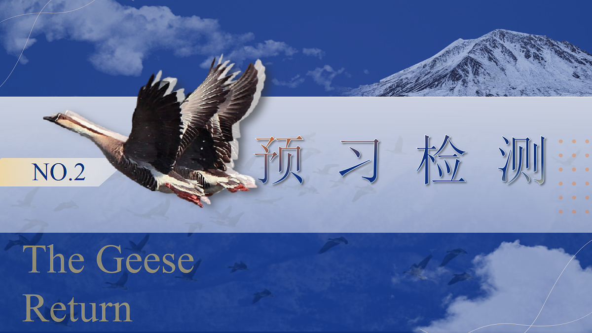 17403215第6页