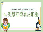 教科版六年级科学上册 4.观察洋葱表皮细胞（课件+实验记录单+视频）