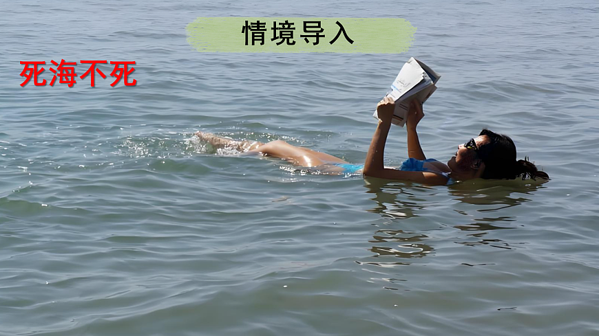 17403386第2页