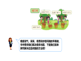 1.2 摘苹果-课件-2025-2026学年度北师大版数学二年级上册