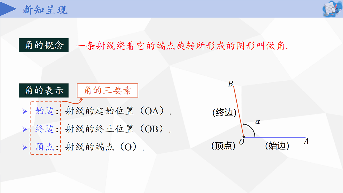 17403527第8页