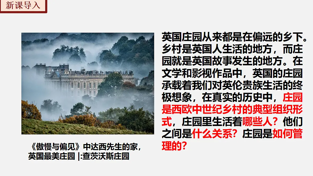 17404959第3页