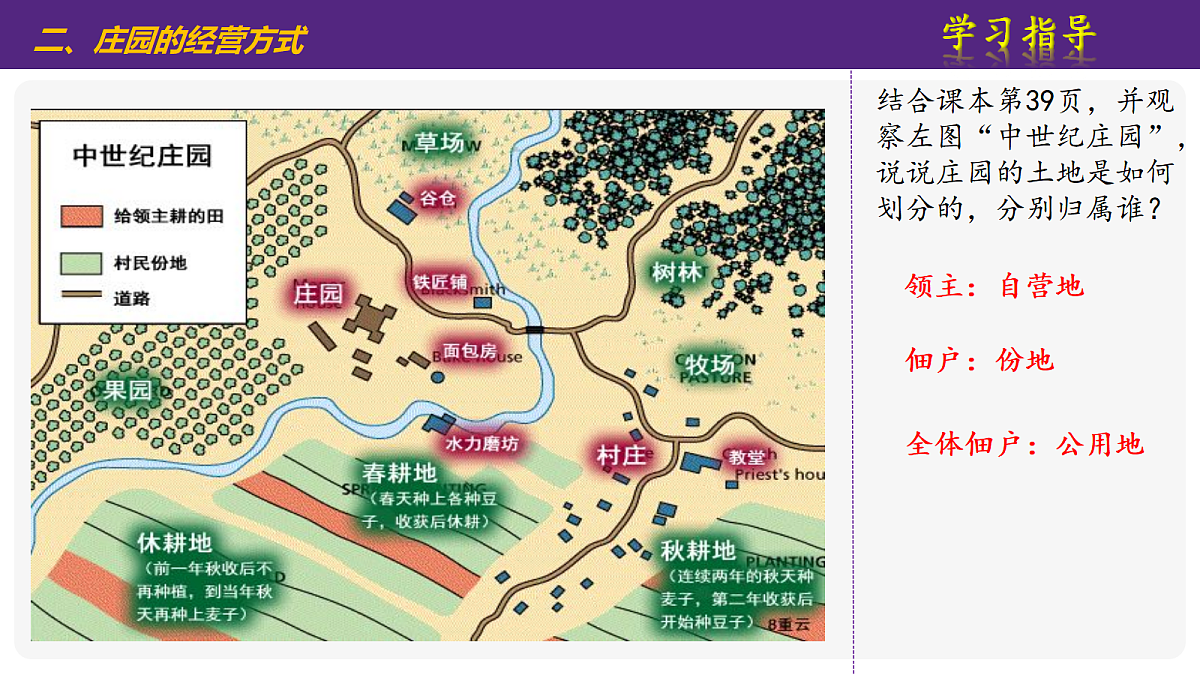 17404968第5页