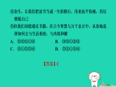 河南省2025七年级语文上册期末专题训练二语言综合运用含图文转换课件新人教版