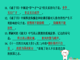 河南省2025七年级语文上册期末专题训练三古诗文默写课件新人教版