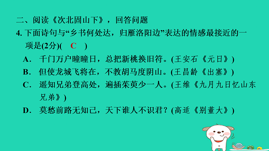 17405337第5页