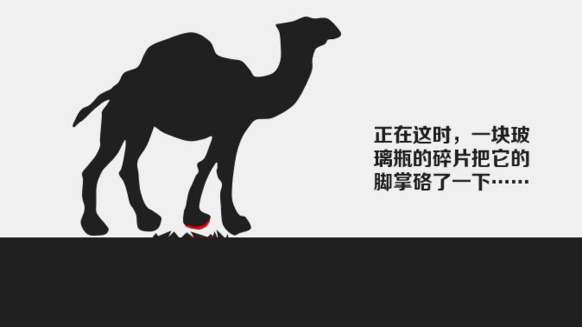 17405498第3页