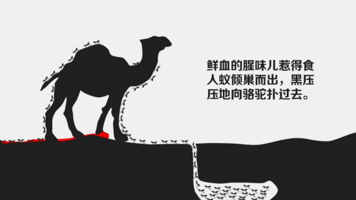17405498第7页