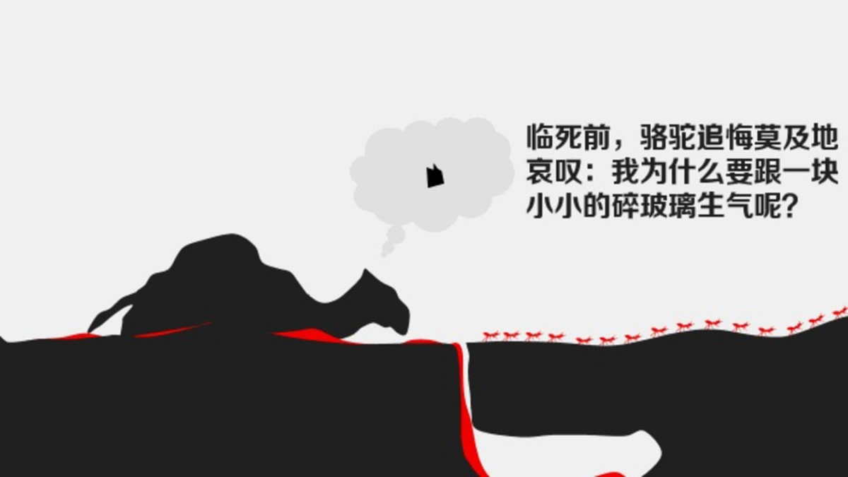 17405498第8页