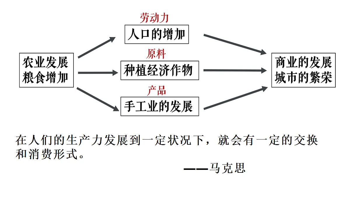 17405635第5页