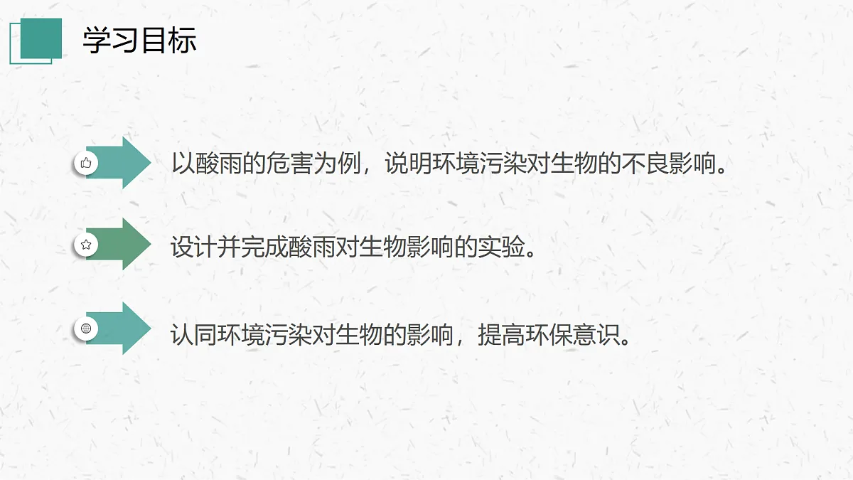 17405649第3页