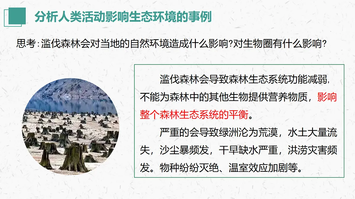 17405649第6页