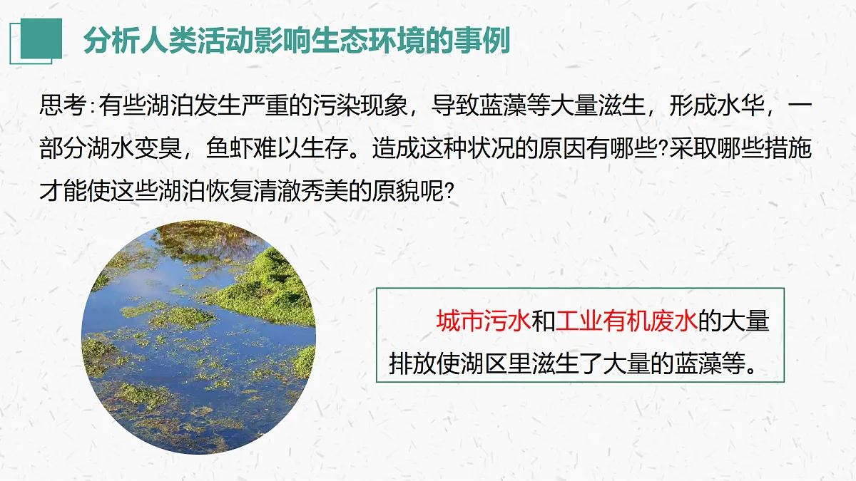17405649第8页