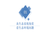 5.2.1《分析人类活动对生态环境的影响》第一课时（课件）2025-2026学年人教版八年级生物上册