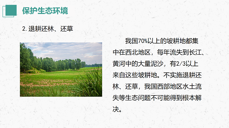 17405651第7页