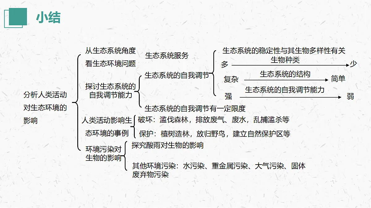 17405653第2页