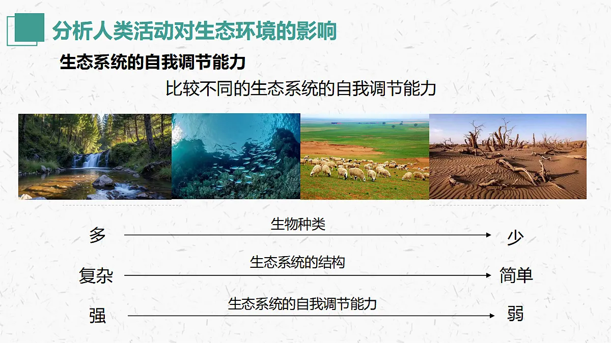 17405653第7页