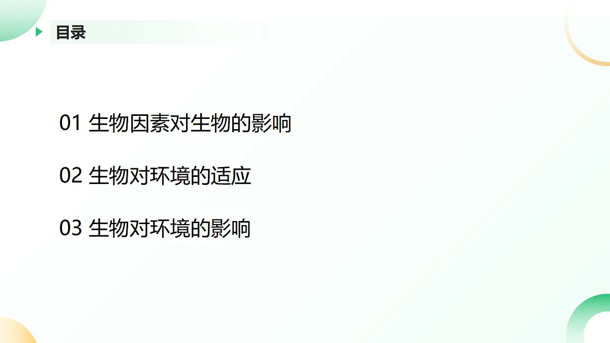 17405655第2页