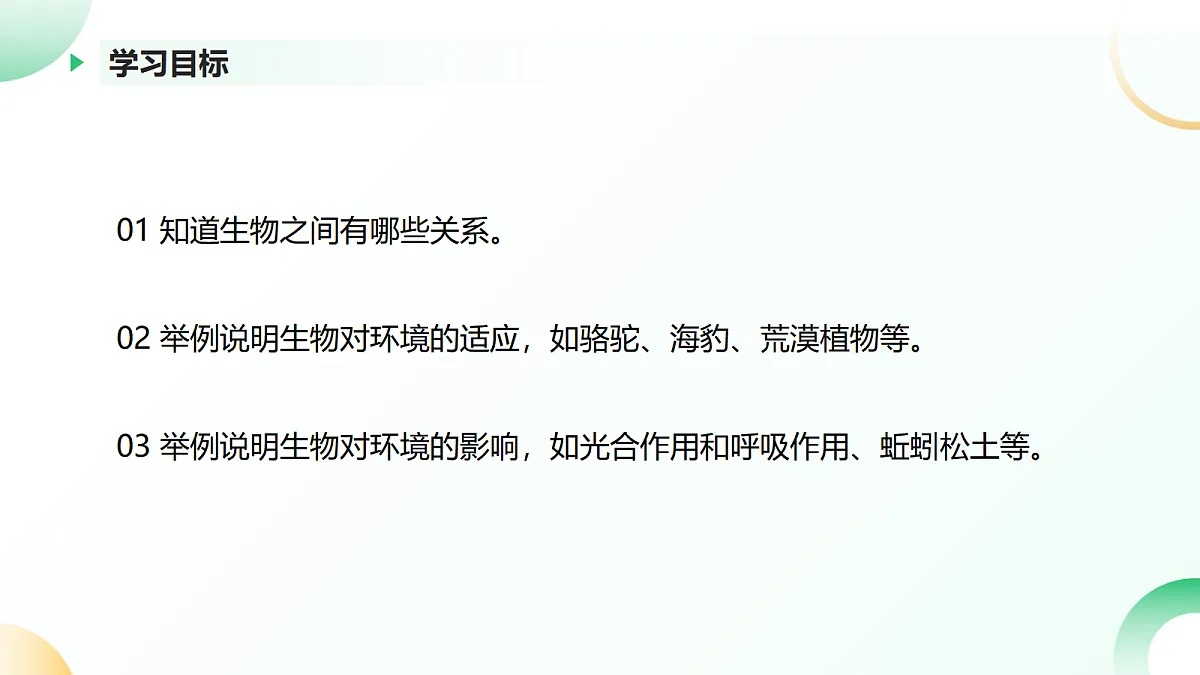 17405655第3页