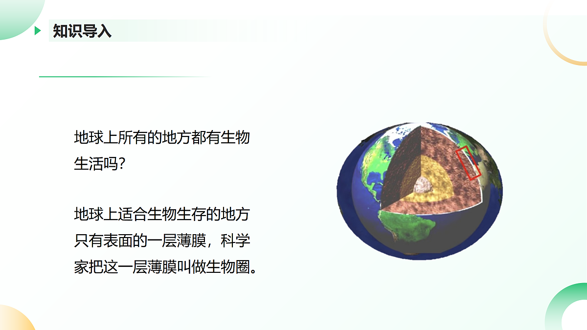 17405659第4页