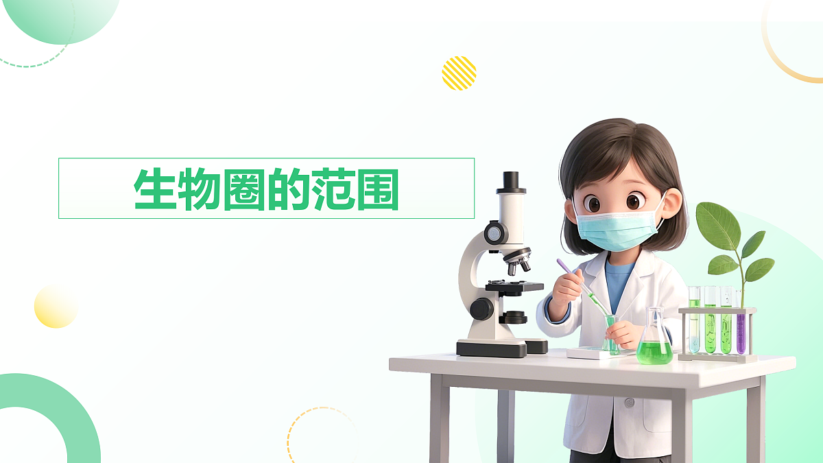 17405659第5页