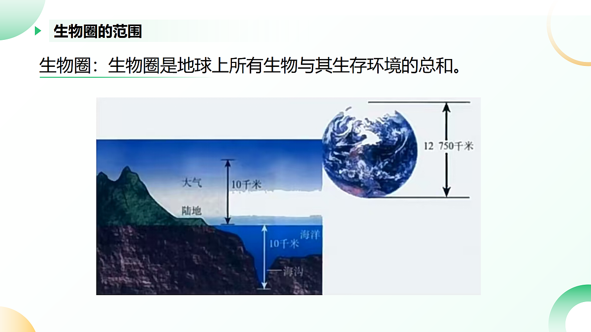 17405659第6页