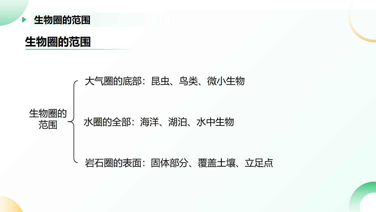 17405659第7页