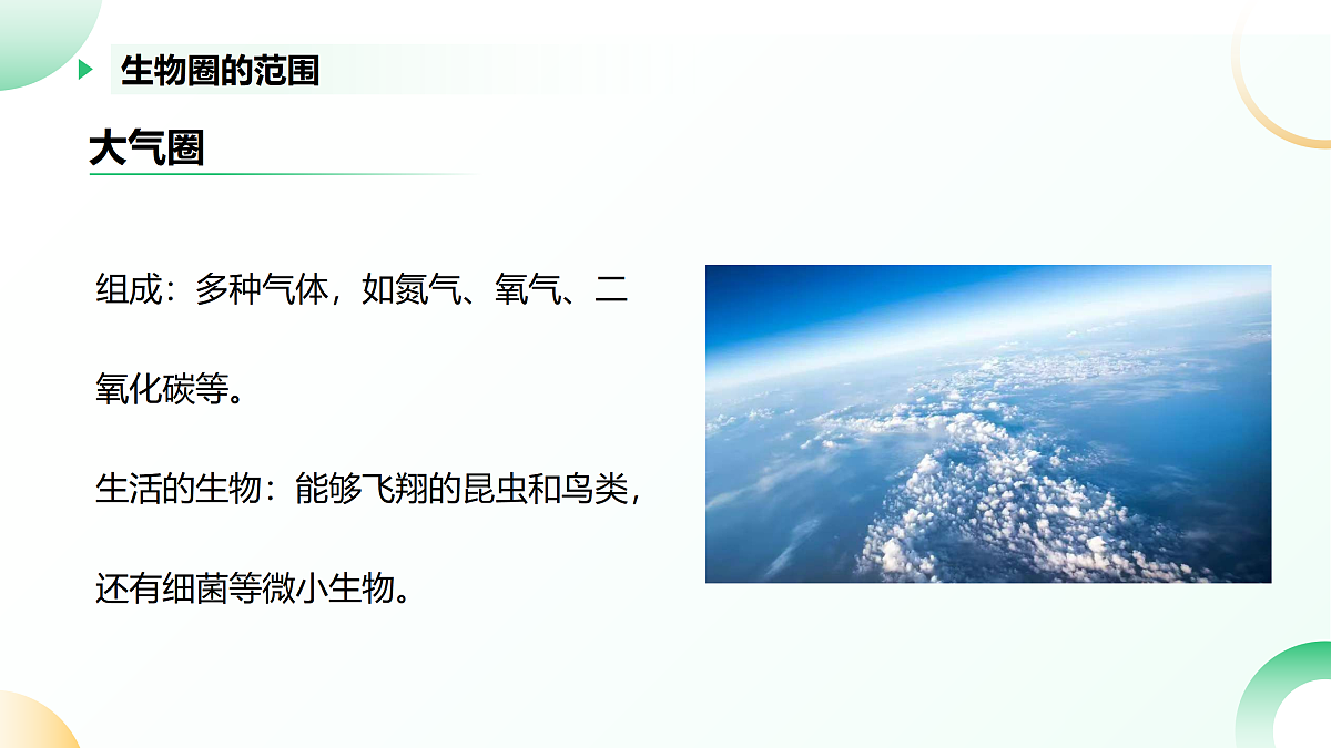 17405659第8页