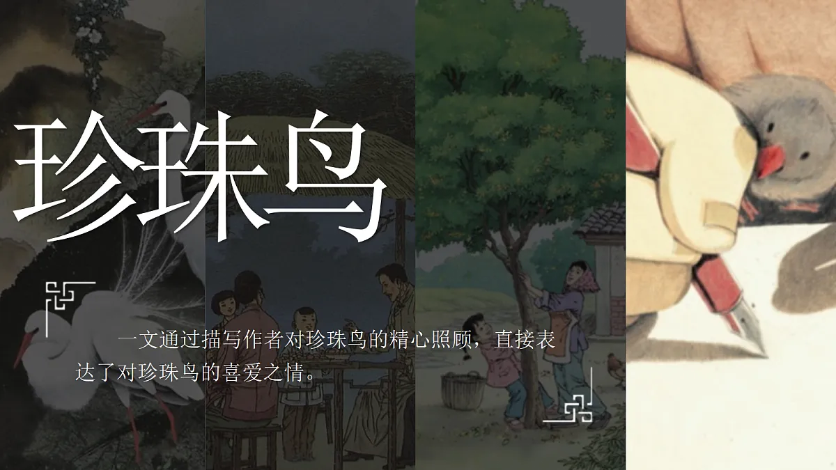 17406372第5页