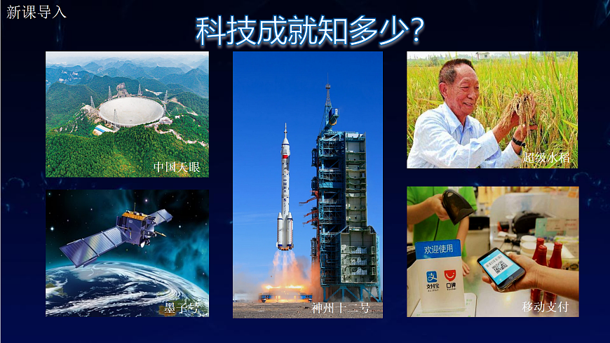 17406557第3页