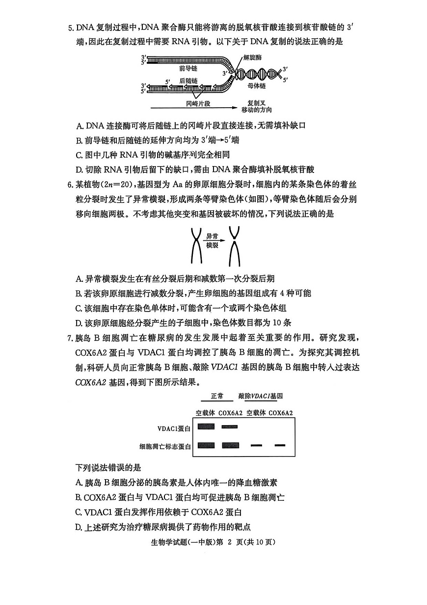 一中月考二第2页