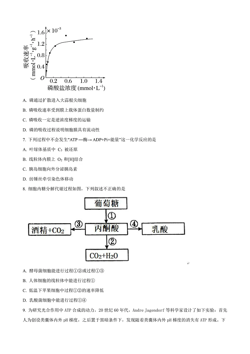 北京市西城区北京市育才学校2025-2026学年高三上学期9月月考生物试题 Word版无答案第2页