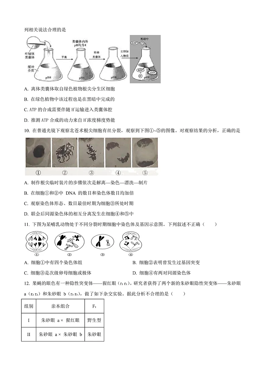 北京市西城区北京市育才学校2025-2026学年高三上学期9月月考生物试题 Word版无答案第3页