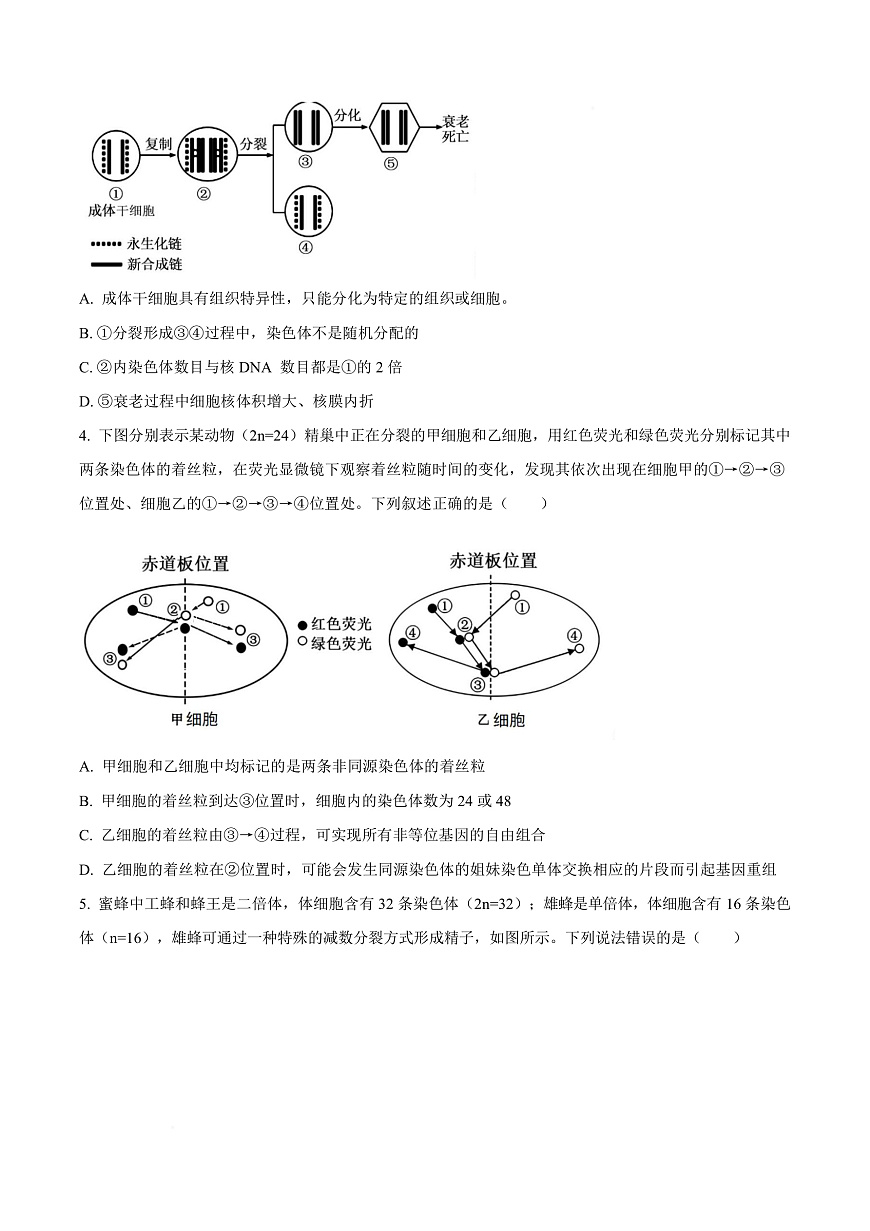 天津市南开大学附中2025年高三上学期第一次阶段检测+生物第3页