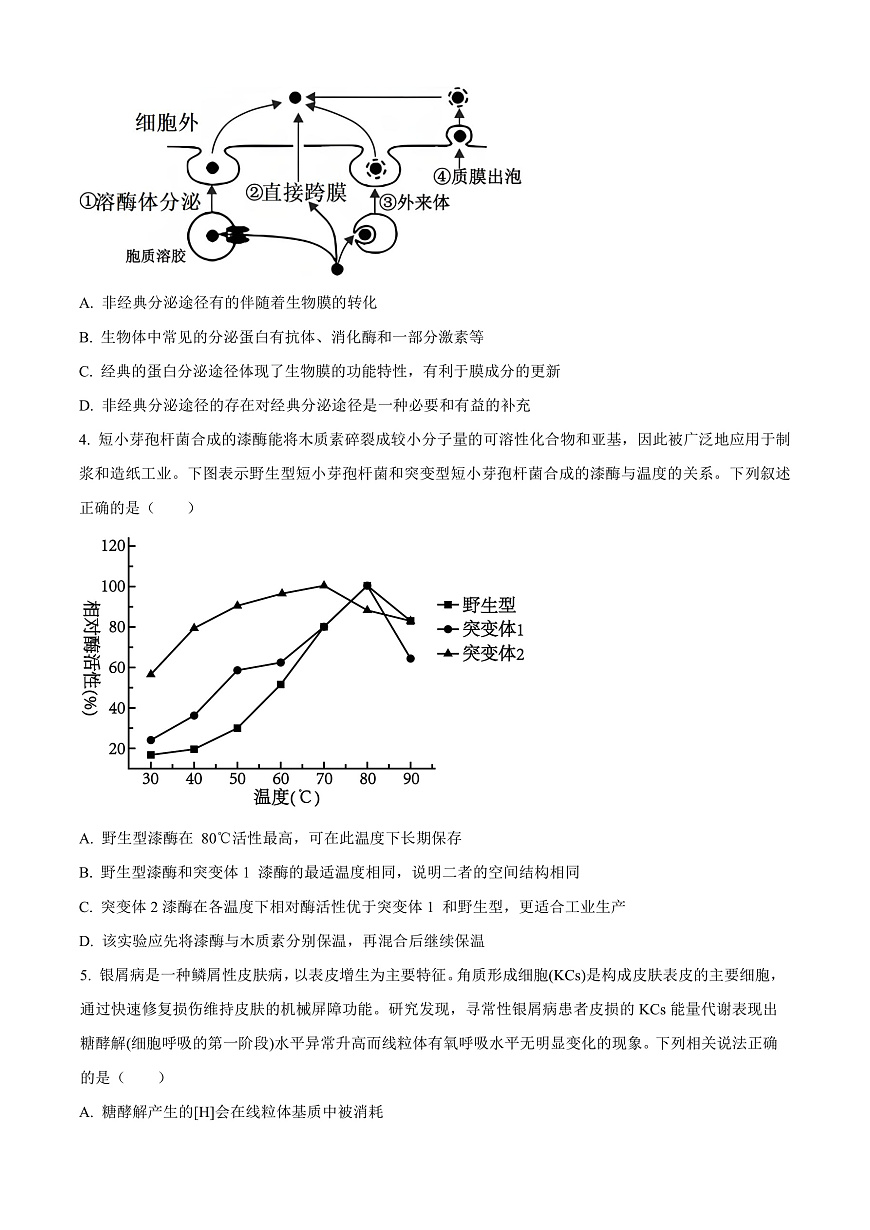 重庆实验外国语学校2025-2026学年高三上学期9月月考2生物试题  Word版无答案第2页