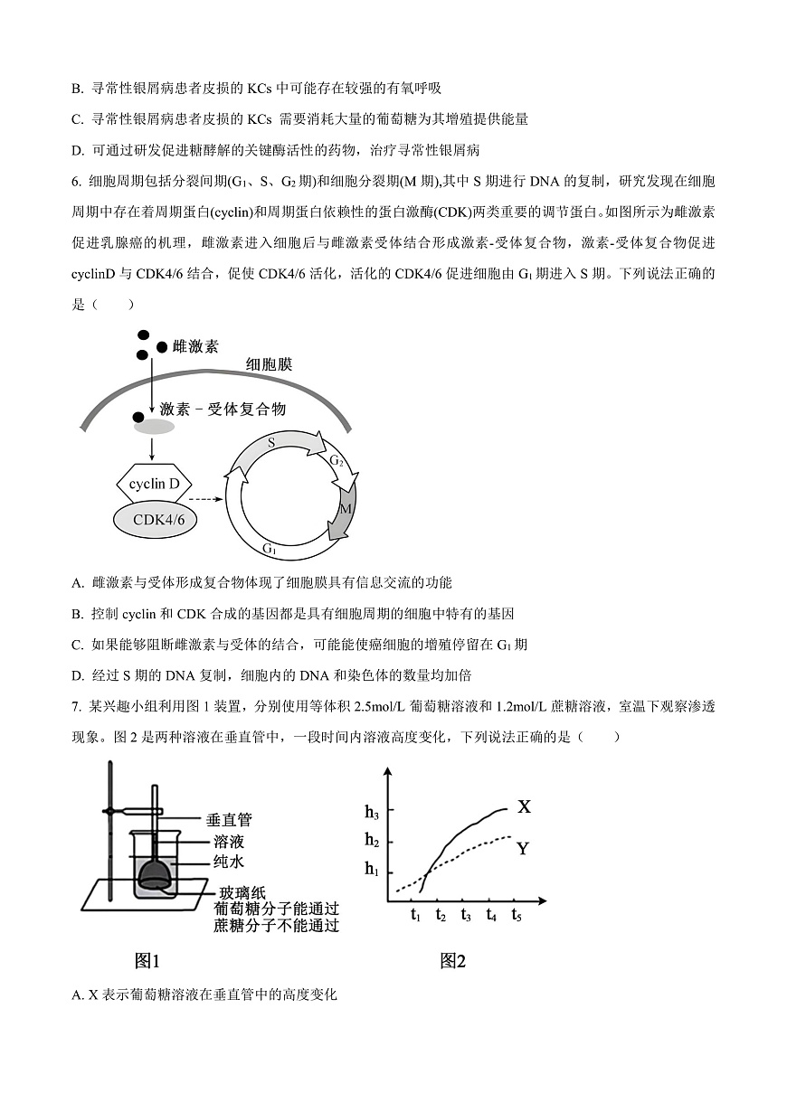 重庆实验外国语学校2025-2026学年高三上学期9月月考2生物试题  Word版无答案第3页