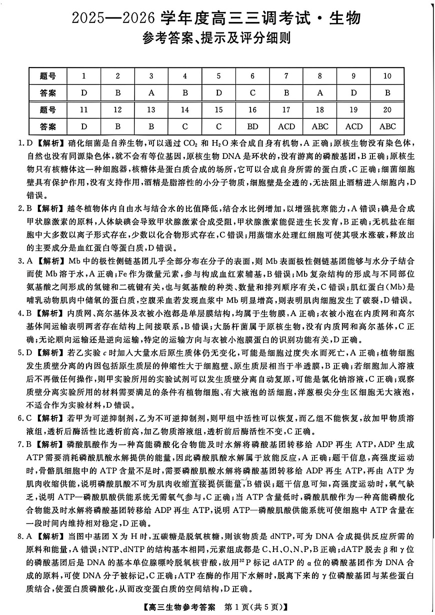 河北省衡水市2025-2026学年高三上学期第三次调研考试（26008C）生物答案第1页