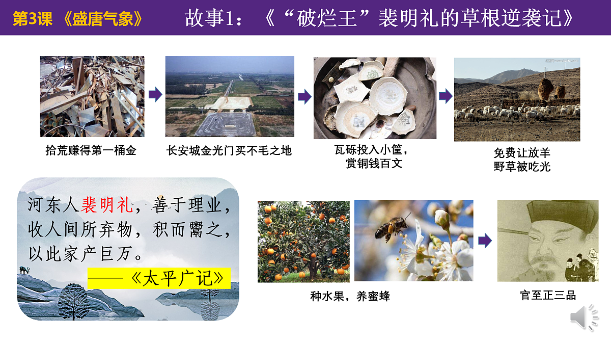 17407501第8页