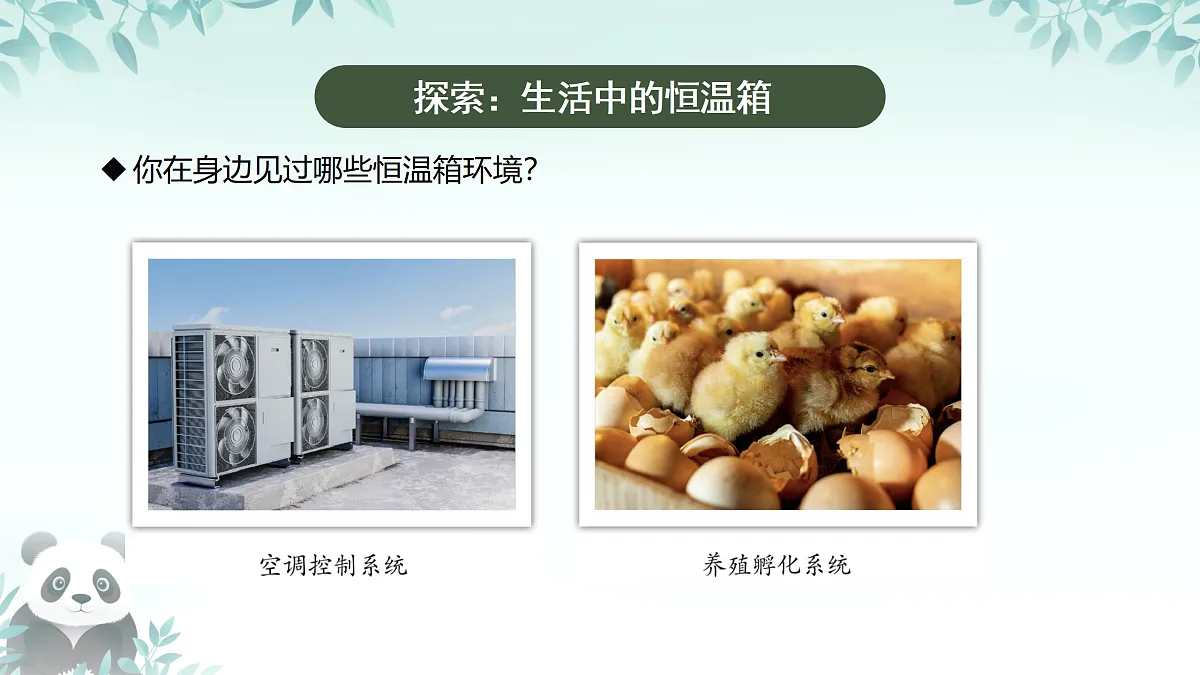 17407855第8页