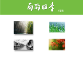 第3课《雨的四季》课件 2025—2026学年统编版语文七年级上册